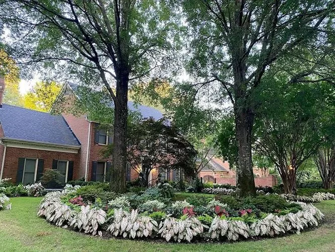 82 Stunning Front Yard Landscaping Ideas to Try This Spring 58 A Colonial