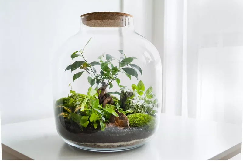 A Creative Mini-Garden