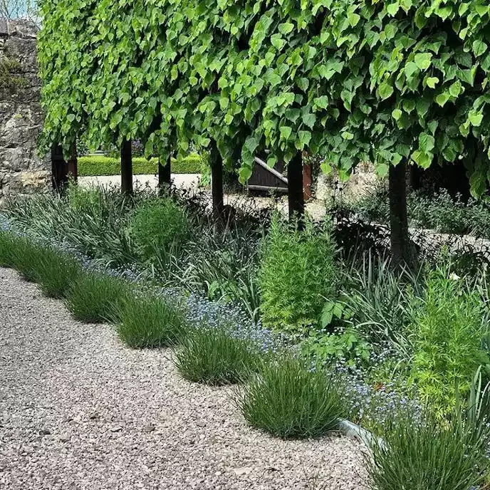 82 Stunning Front Yard Landscaping Ideas to Try This Spring 42 A Path of Small Trees