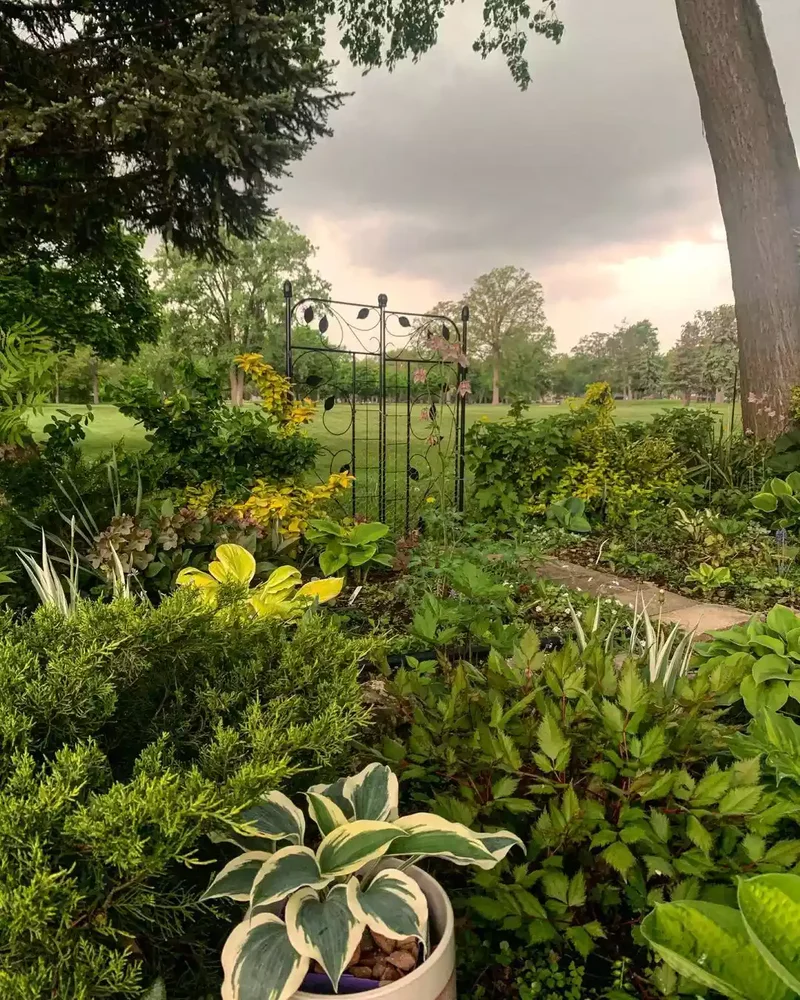 52 Beautiful Backyard Landscaping Ideas for Your Home 4 A Shady Backyard Arcadia