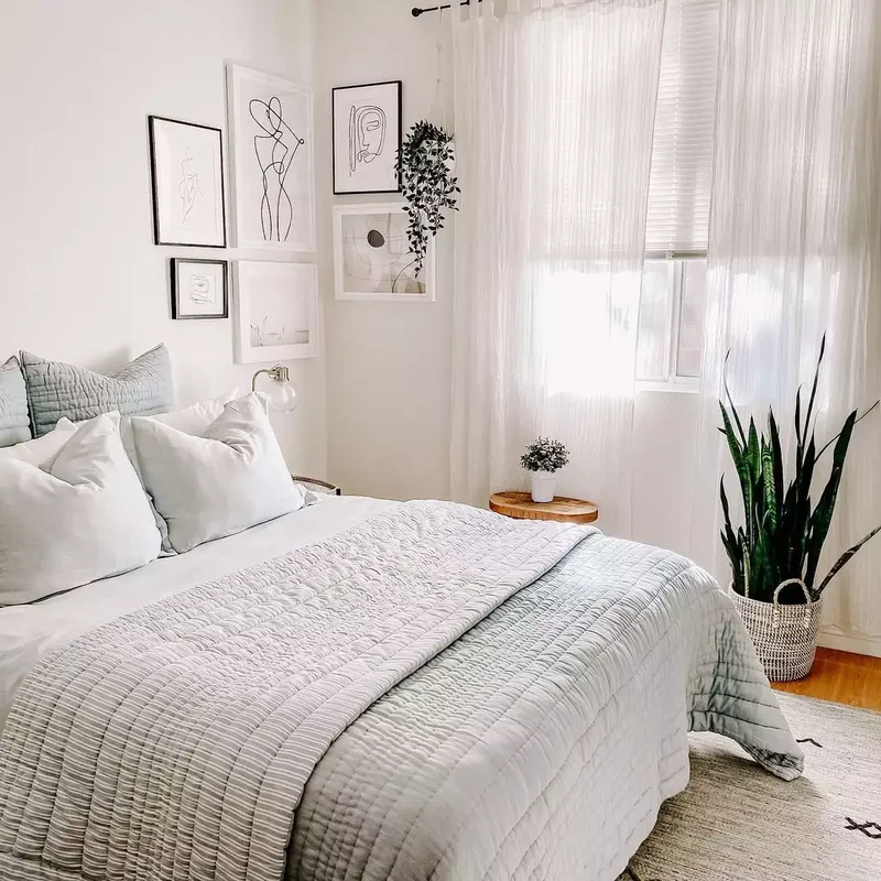 A Show of Personality