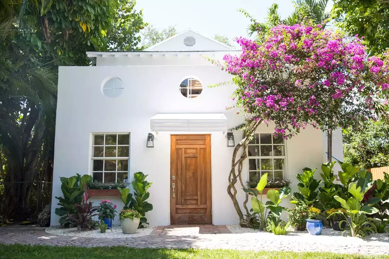 A Tropical Rock Garden