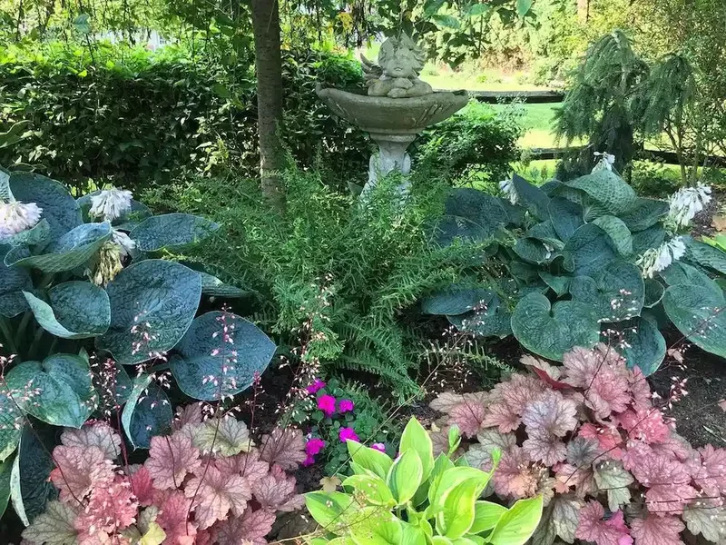 12 Hosta Garden Ideas to Transform Your Outdoor Space 3 Add Companion Plants