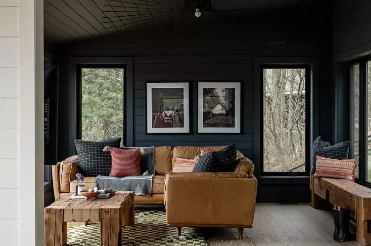 Add Dark Shiplap on the Walls and Ceiling