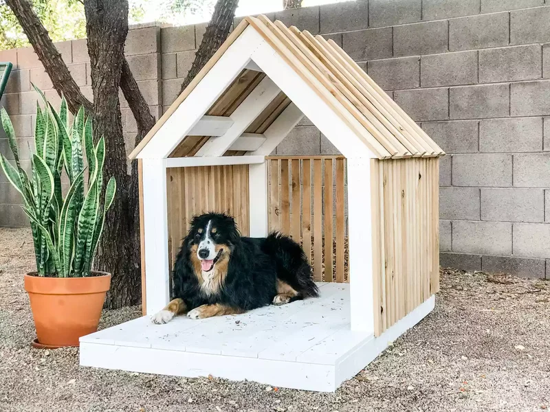 43 Budget-Friendly Backyard Makeover Ideas You'll Love 19 Add Dog-Friendly Touches