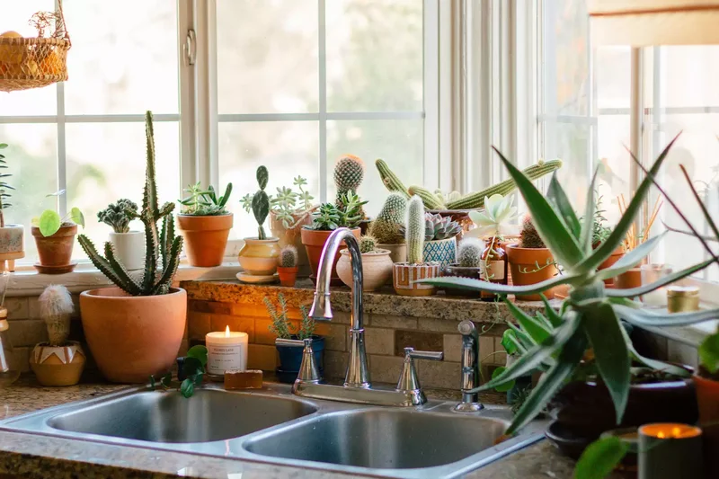 Add Plenty of Plants