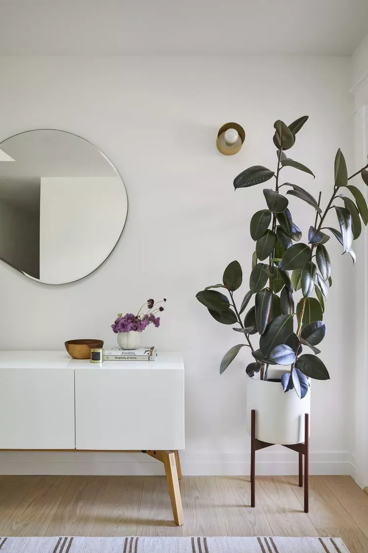 30 Beautiful Sideboard Styling Ideas for Every Room 10 Add a Houseplant