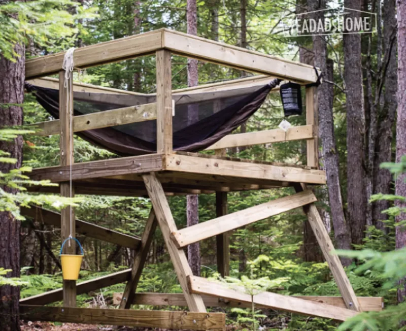 28 Creative Treehouse Ideas Your Kids Will Absolutely Love 23 Add a Platform in the Trees
