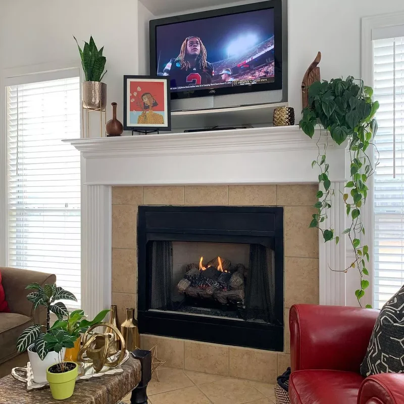 Add a Trailing Plant