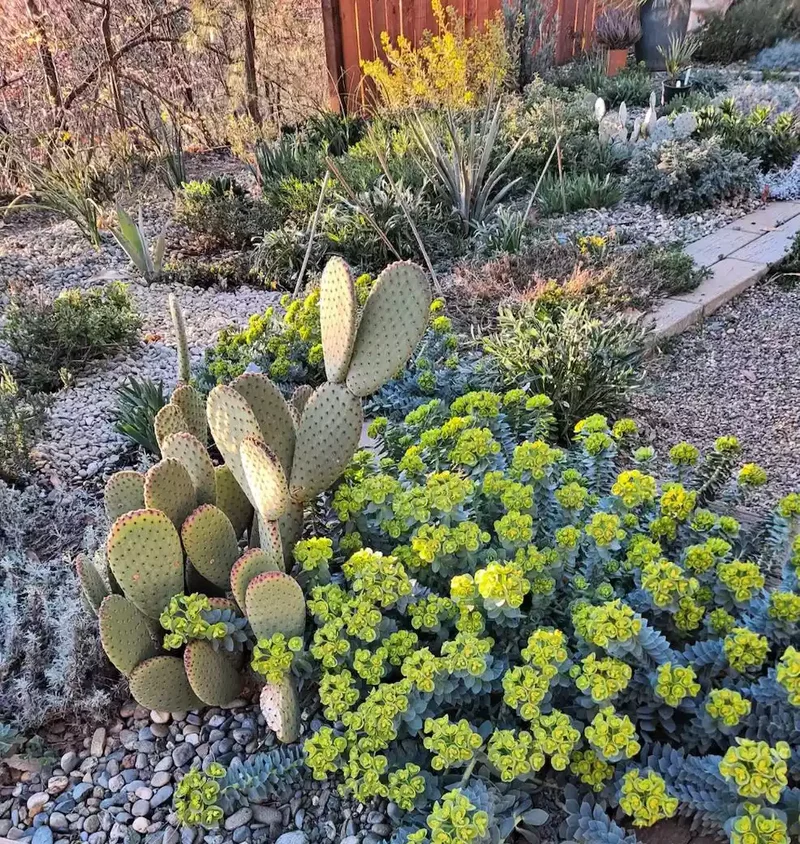 24 Beautiful Desert Landscaping Ideas for Hot Climates 8 Amend the Desert Soil