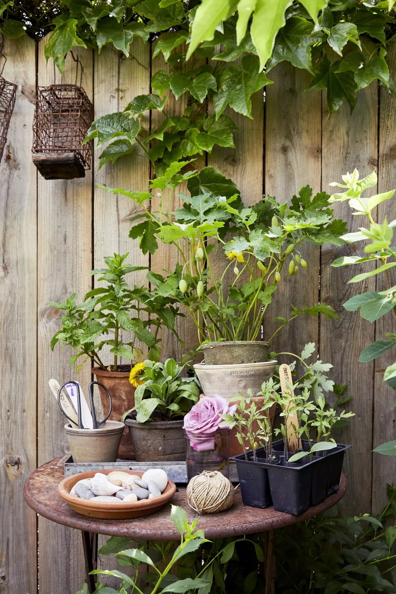 40 Budget-Friendly Backyard Ideas for Any Outdoor Space 20 Assemble a Potting Station