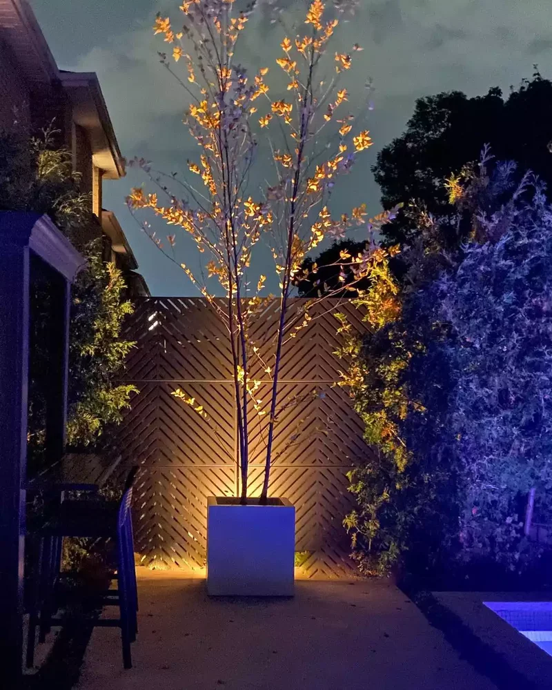 Backlit Potted Tree