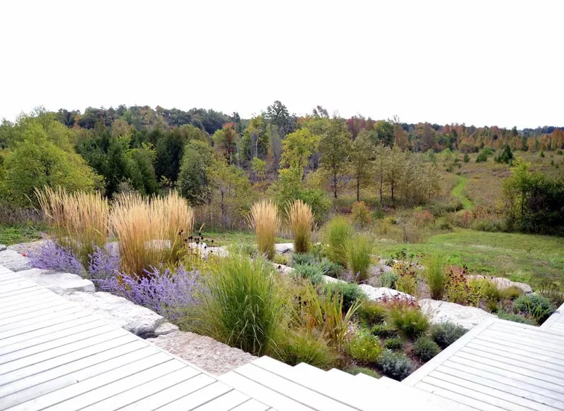 52 Beautiful Backyard Landscaping Ideas for Your Home 8 Backyard Terraced Gardens