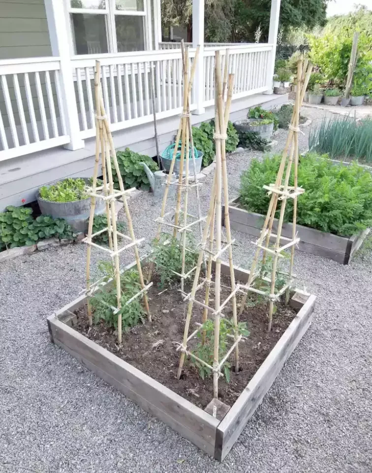 35 Garden Trellis Ideas for Beautiful Supported Plants 34 Bamboo Trellis
