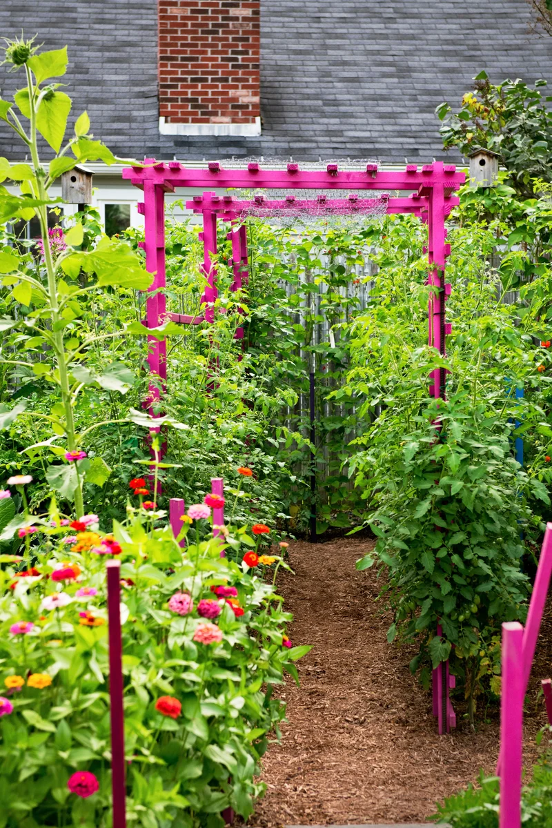 14 Garden Trellis Ideas to Showcase Your Vegetable Plants 10 Be Bold with Color