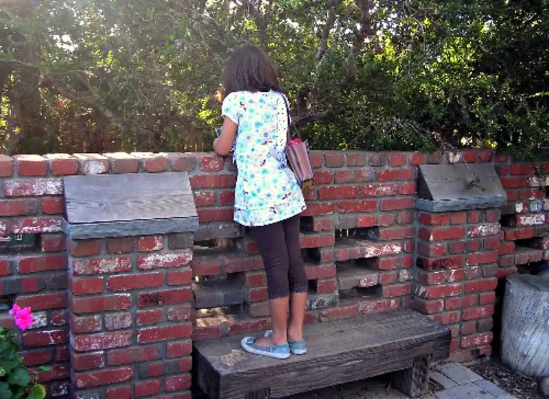 15 Beautiful Garden Bench Ideas to Transform Your Yard 15 Bench for Peeking