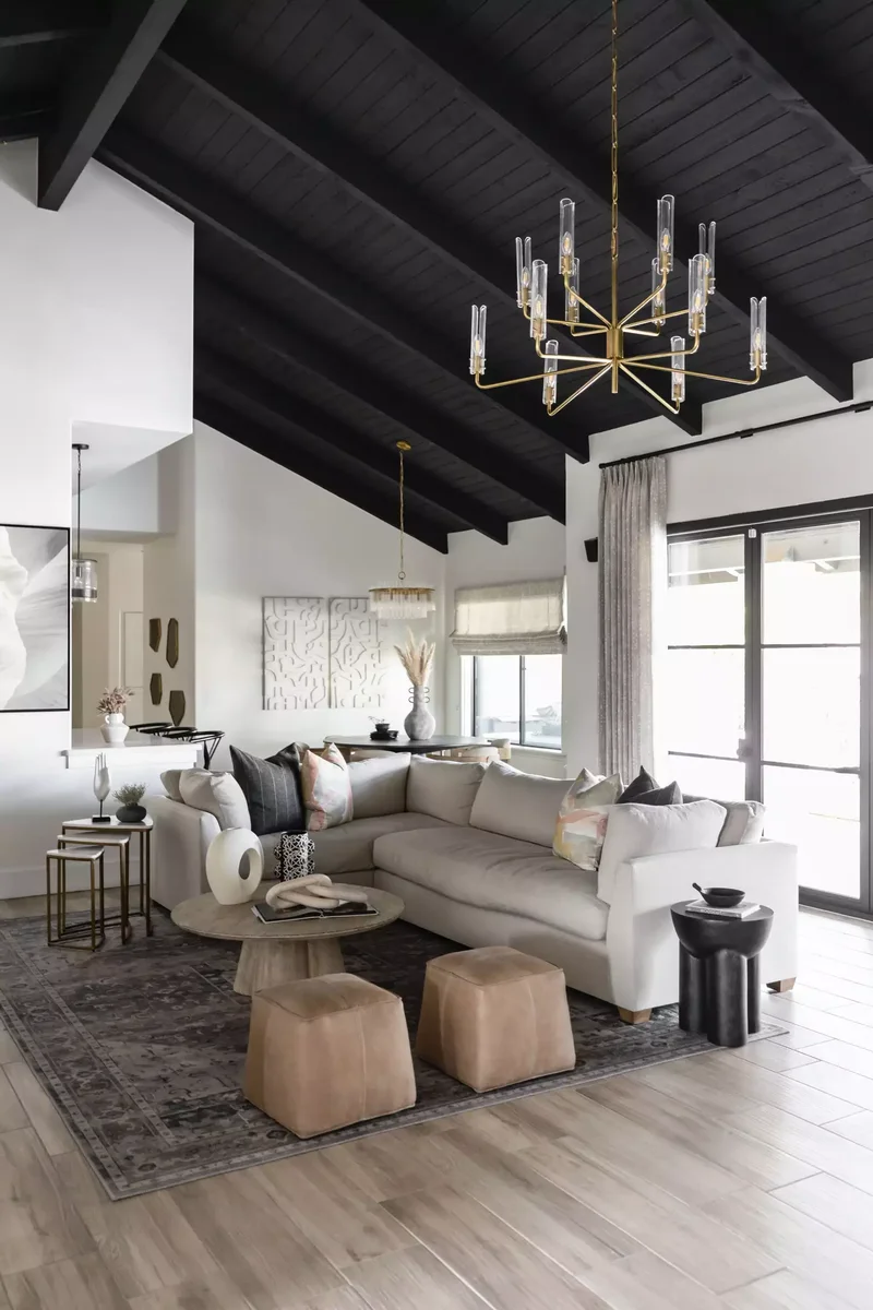 Black Statement Ceiling