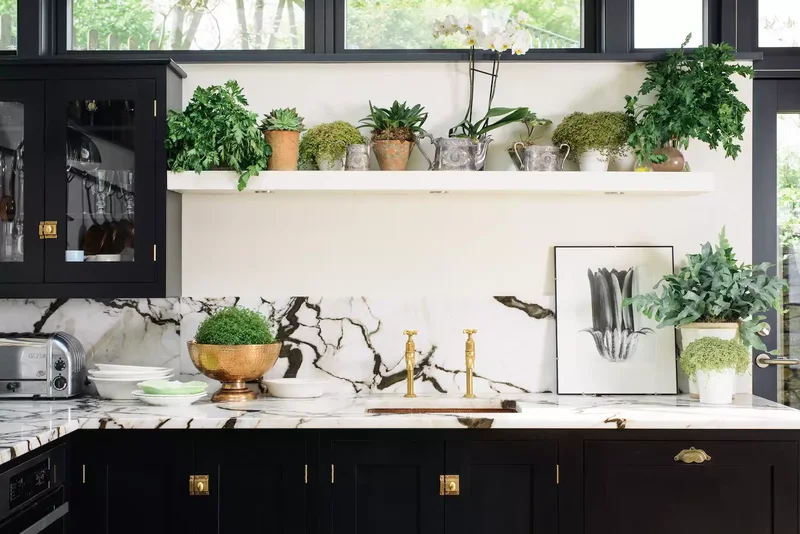 31 Kitchen Color Schemes for Every Style to Transform Your Space 15 Black + White + Green + Brass