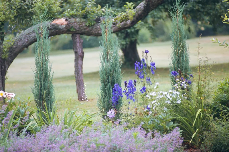 Break Up Monotony With Boldly Shaped Plants