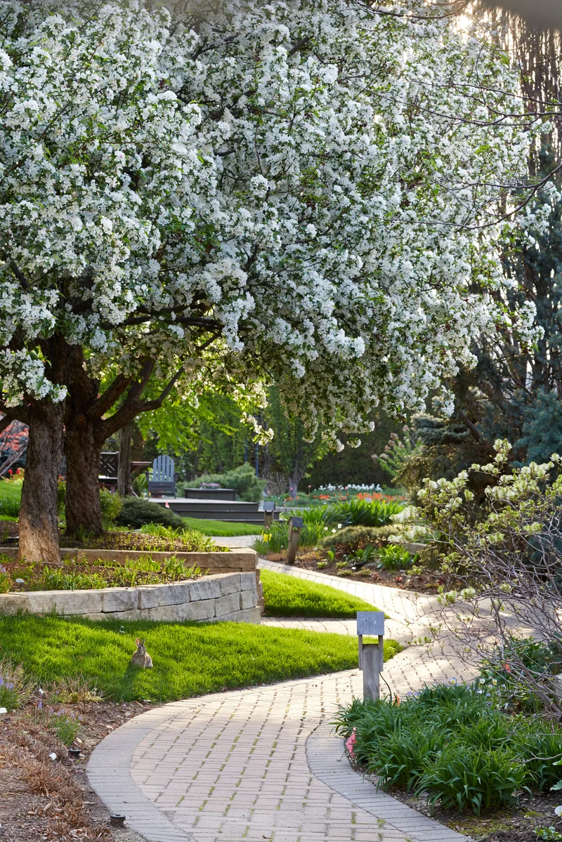 24 Beautiful Garden Path Ideas for Your Outdoor Retreat 16 Brick Pathway