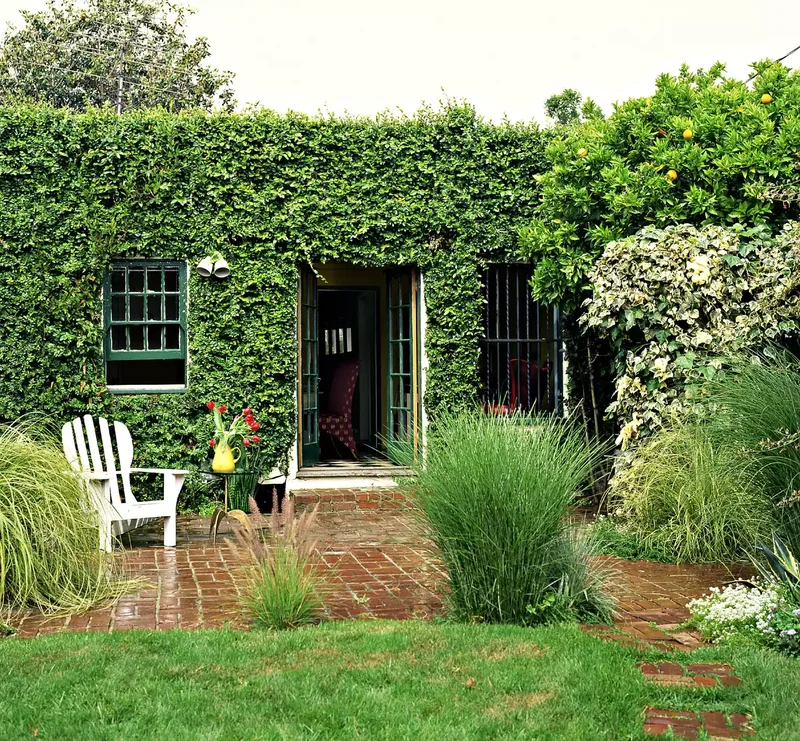Brick Patio With Ivy Walls