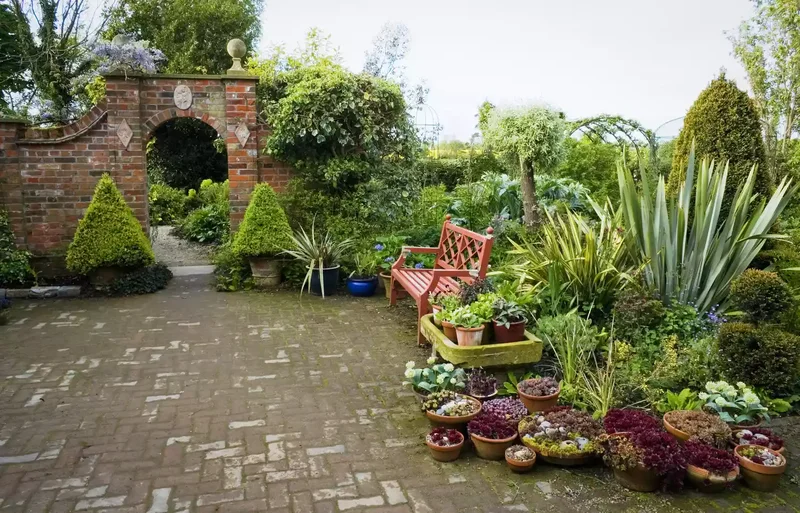 Brick Patio With Succulents