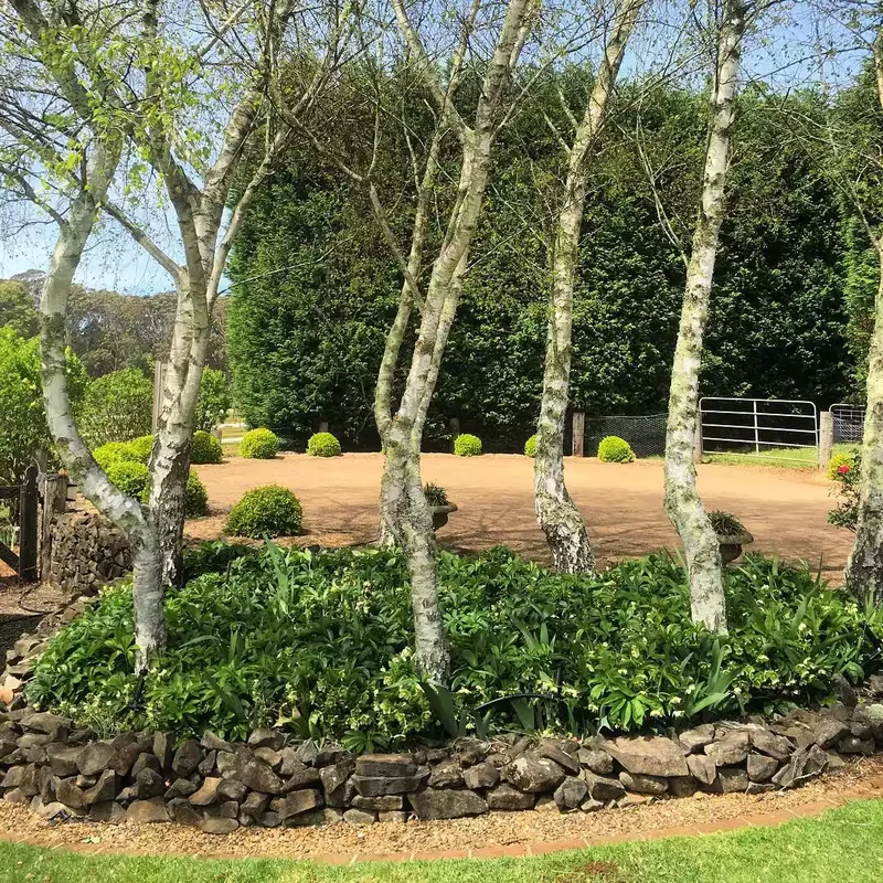 Brick and Stone Edging