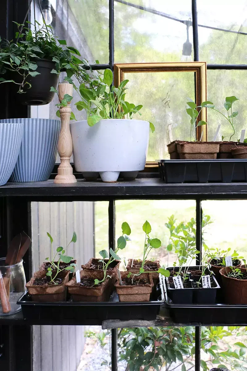 57 Stunning Garden Decor Ideas to Transform Your Outdoor Space 36 Bring Inside Decor Outside