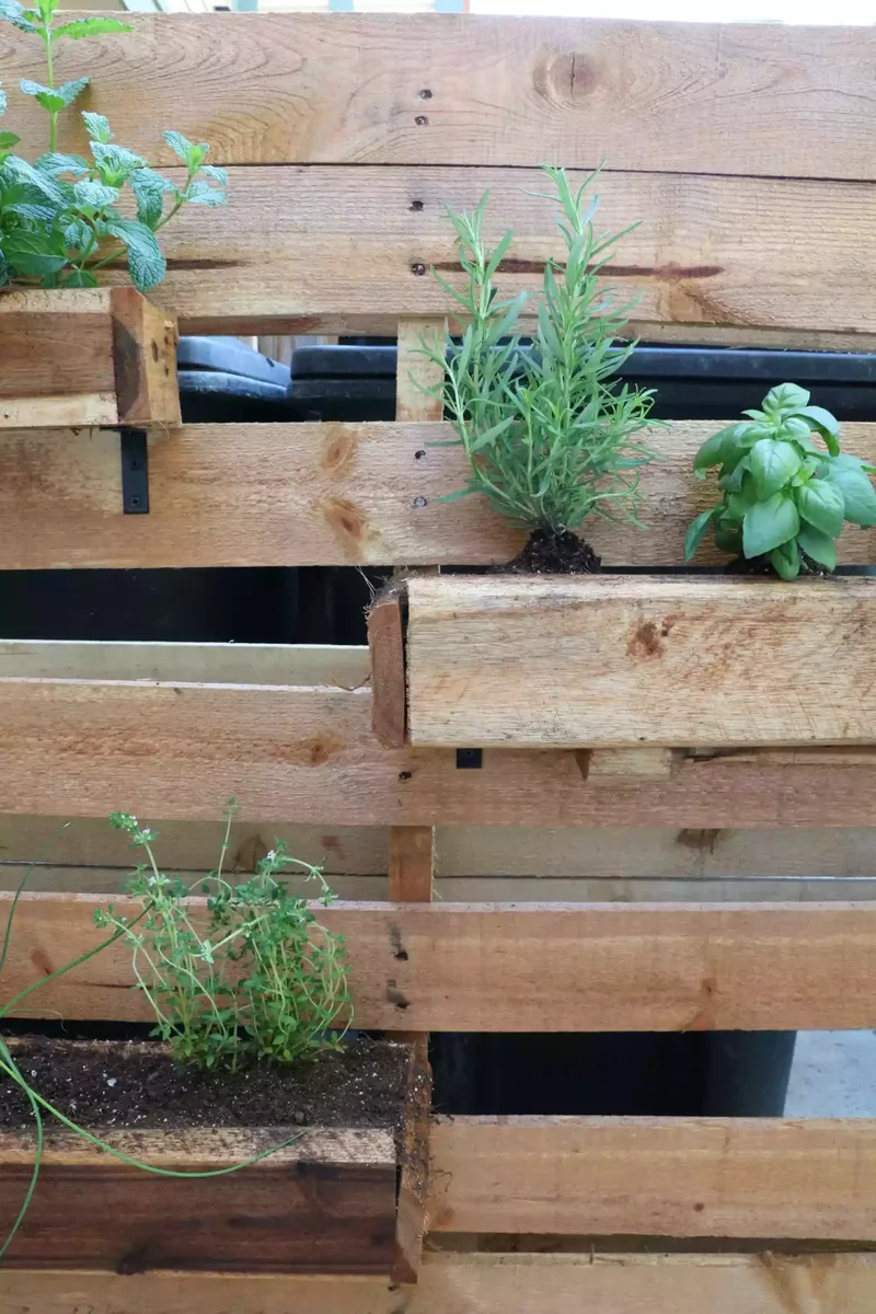 40 Budget-Friendly DIY Backyard Projects for Your Dream Oasis 32 Bring in a Herb Garden