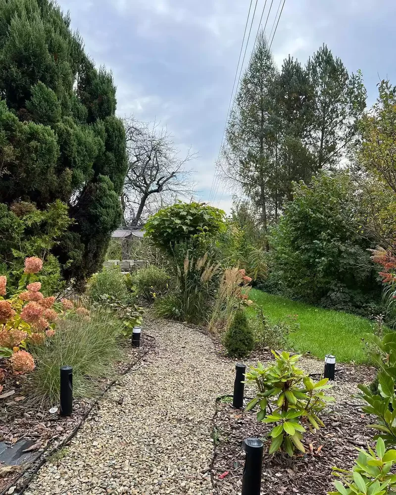 Budget-Friendly Walkway