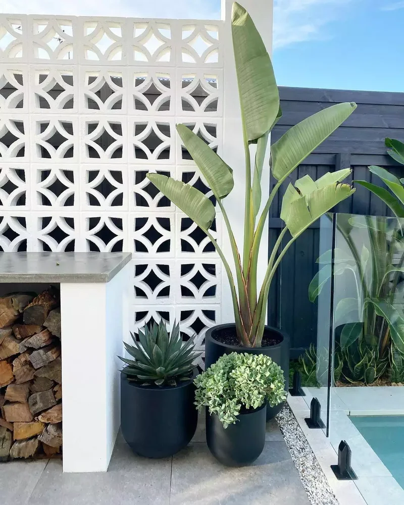 Build a Dividing Wall