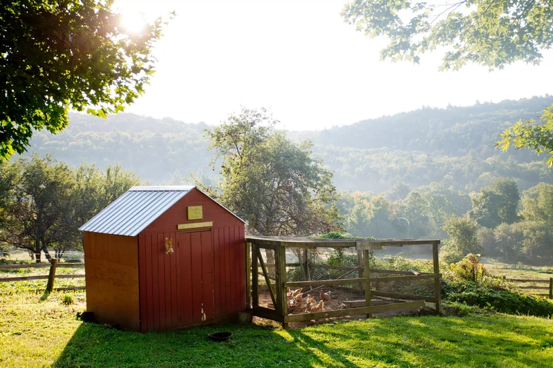 Build a Protected Run