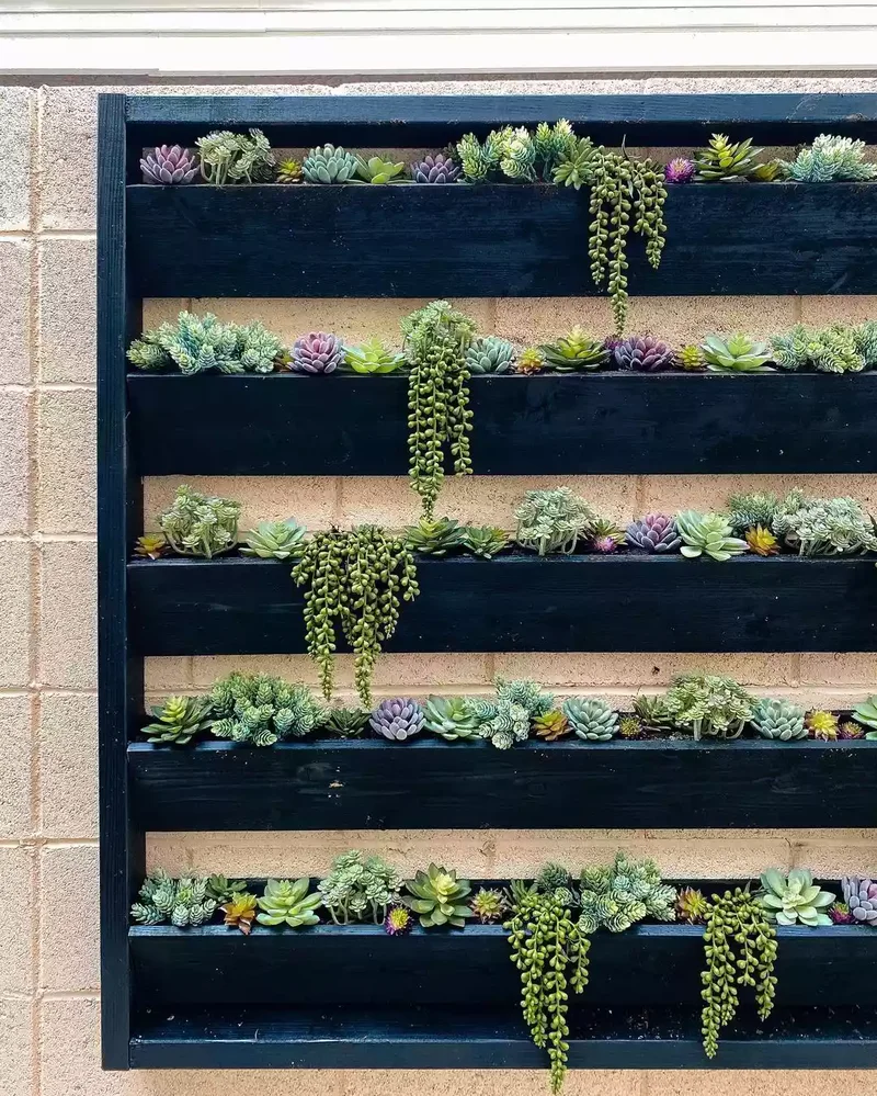 Build a Wood Succulent Planter on Cinder Blocks