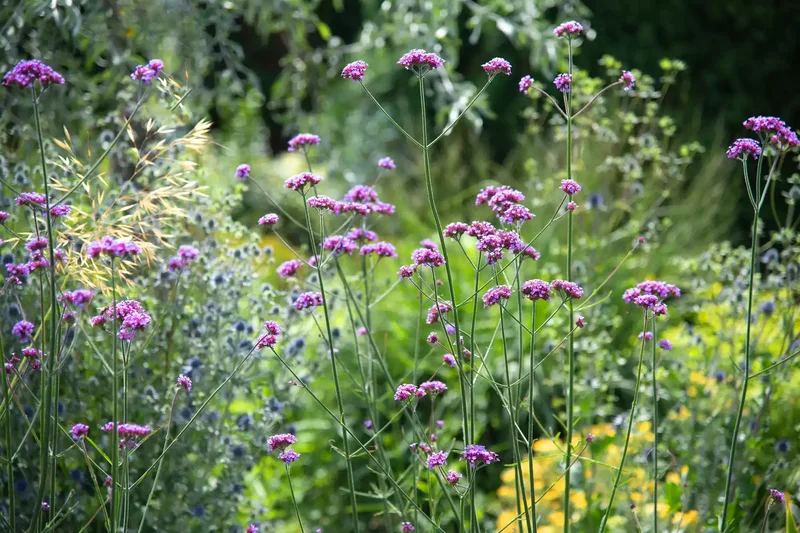 27 Stunning Flower Garden Designs and Layout Inspirations 27 Butterfly Flower Garden