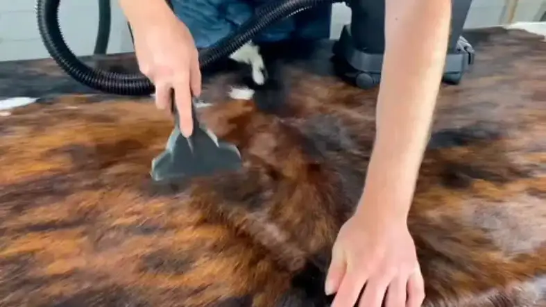 Can You Vacuum A Cowhide Rug