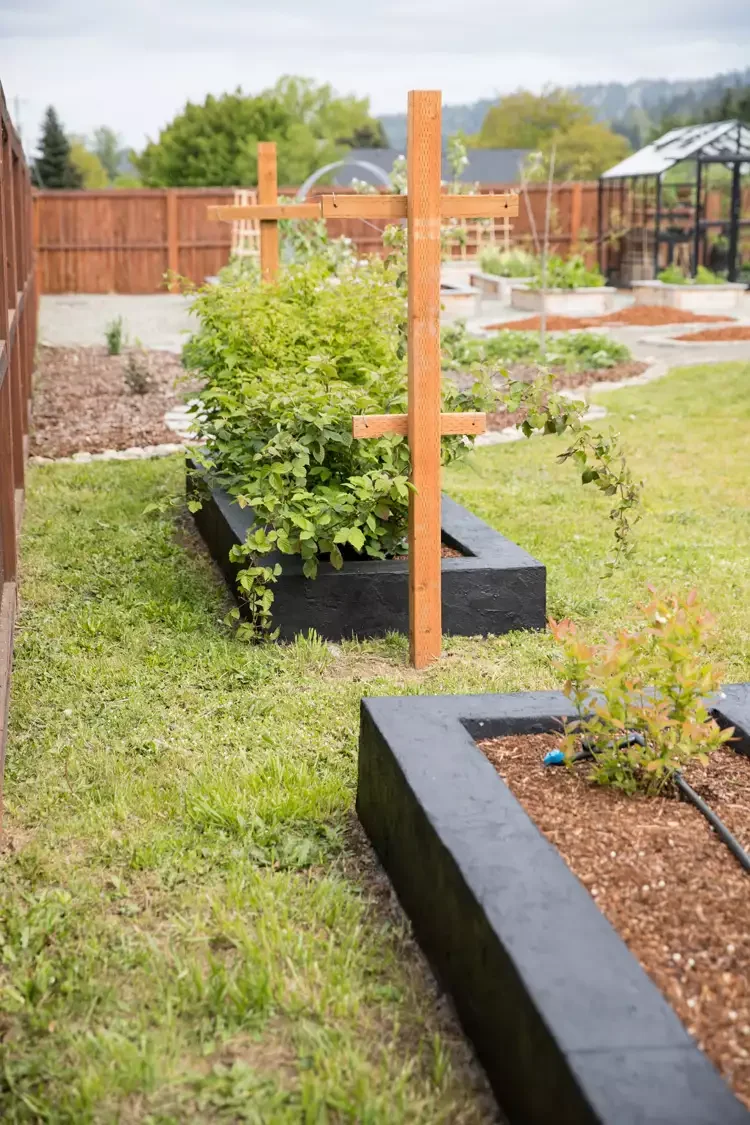 35 DIY Backyard Garden Projects to Transform Your Space 27 Cement Garden Beds