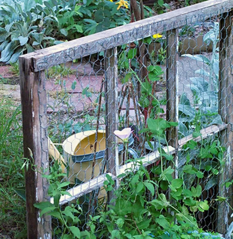 35 Garden Trellis Ideas for Beautiful Supported Plants 24 Chicken Wire Window Frame Trellis