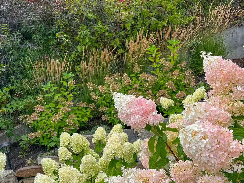 26 Secret Garden Ideas to Bring Your Favorite Books to Life 1 Choose Plants That Re-Bloom