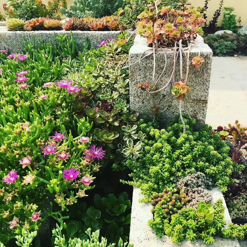 32 Creative Raised Garden Bed Ideas for Your Outdoor Space 22 Cinder Block Raised Beds