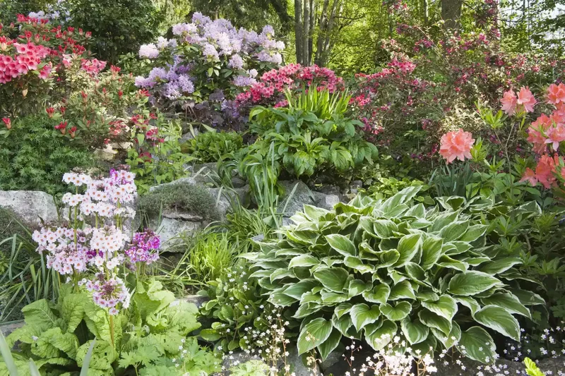 82 Stunning Front Yard Landscaping Ideas to Try This Spring 64 Colorful Woodland Blooms