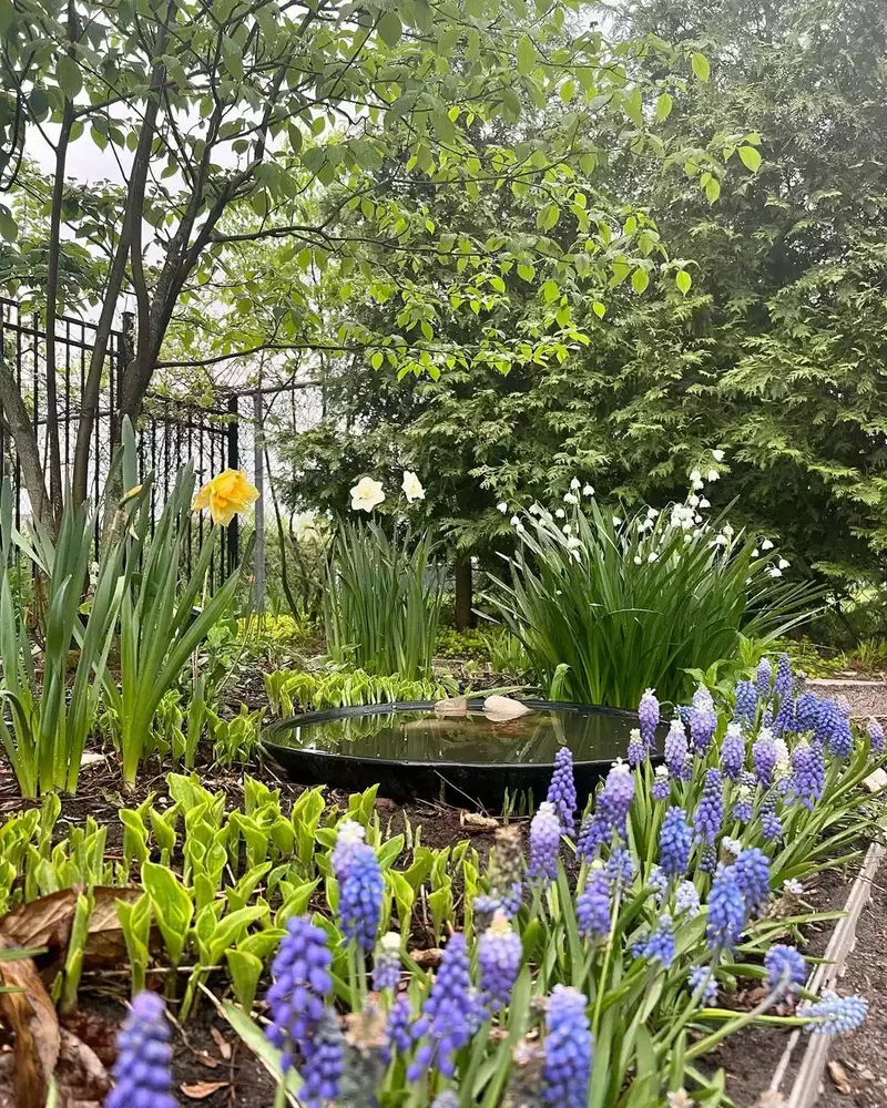 26 Secret Garden Ideas to Bring Your Favorite Books to Life 7 Consider the Seasons