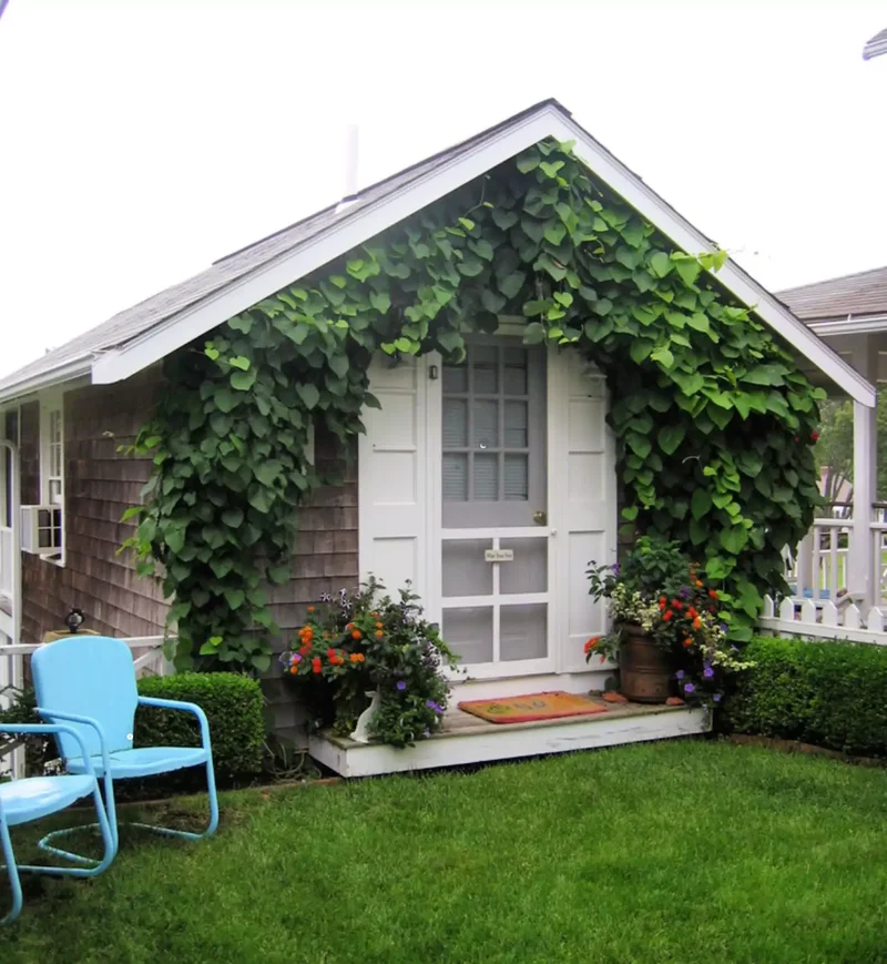 Cottage Behind a Cottage