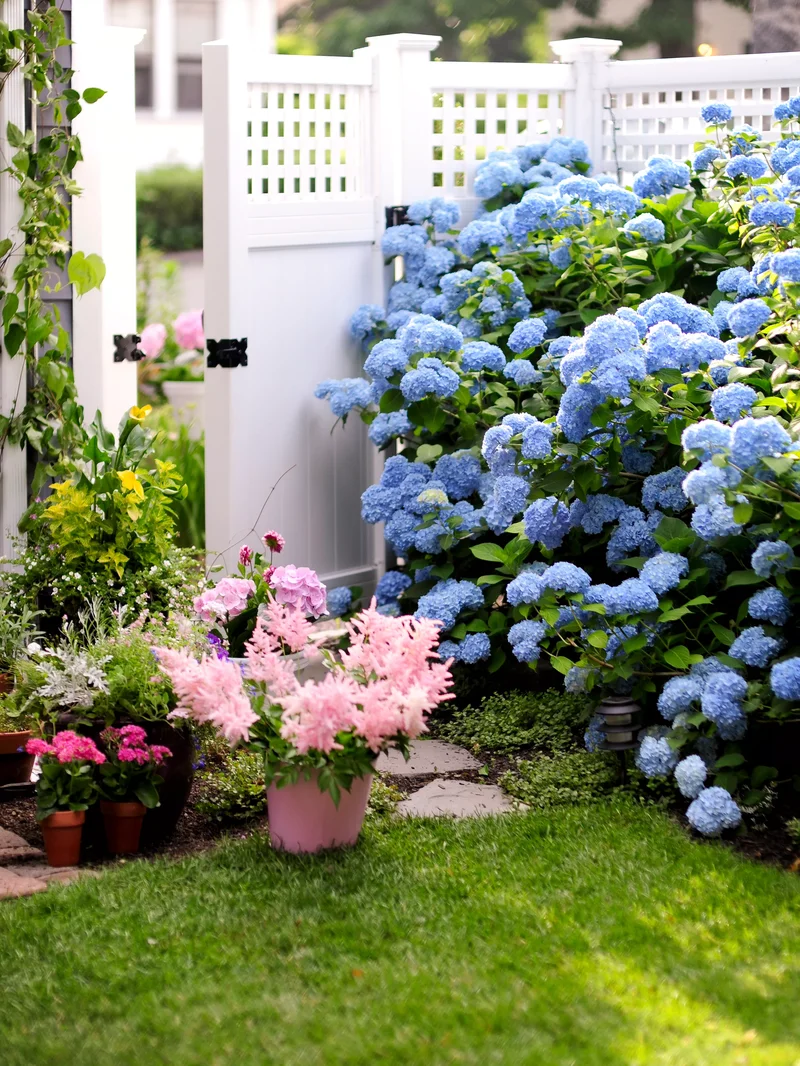 26 Beautiful Garden Gate Ideas to Enhance Your Yard 13 Cozy Cottage Aesthetic