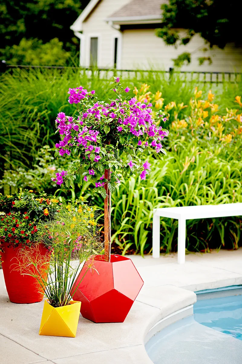 40 Budget-Friendly Backyard Ideas for Any Outdoor Space 15 Create DIY Planters