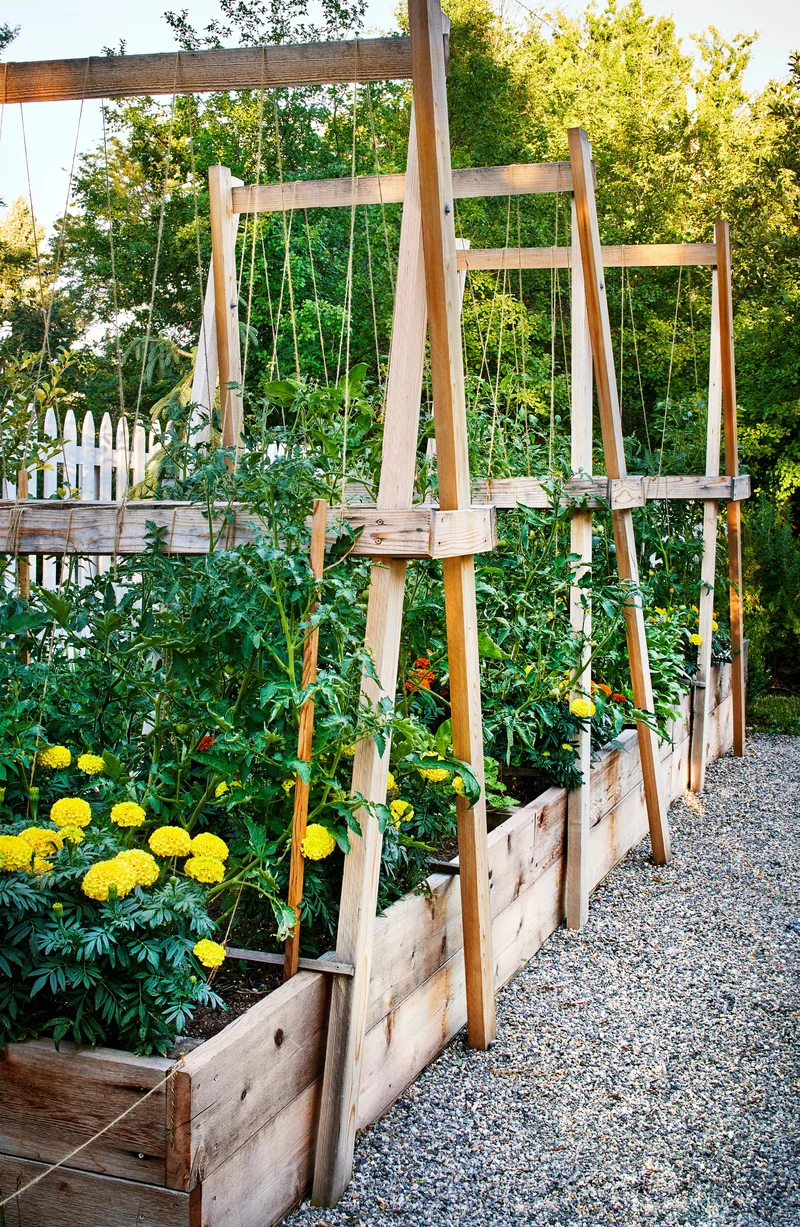 14 Garden Trellis Ideas to Showcase Your Vegetable Plants 12 Create a Cohesive Statement