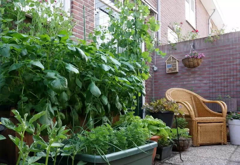 26 Vegetable Garden Ideas for Fresh Homegrown Produce 21 Create a Compact Vertical Garden