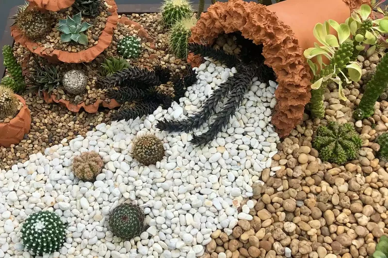 43 Budget-Friendly Backyard Makeover Ideas You'll Love 4 Create a Contrasting Rock Garden