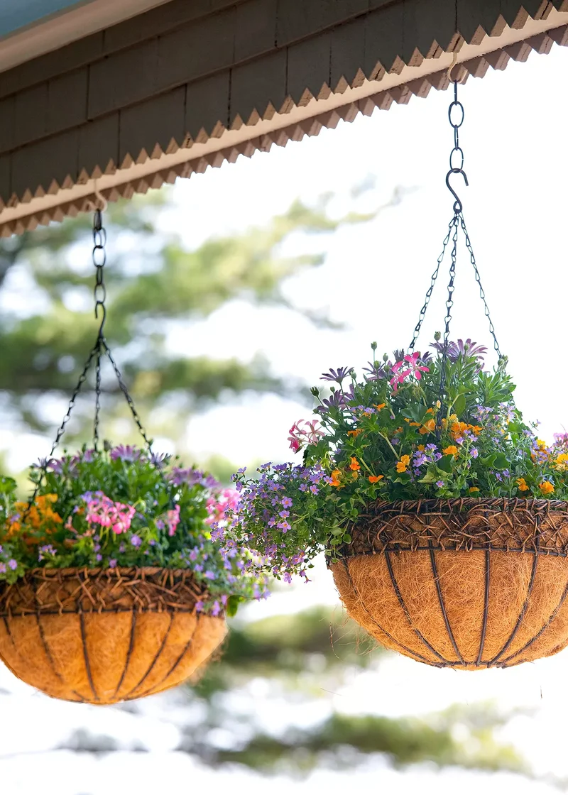 Create a Hanging Garden