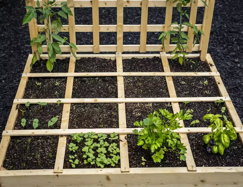 26 Vegetable Garden Ideas for Fresh Homegrown Produce 10 Create a Simple Square Foot Garden