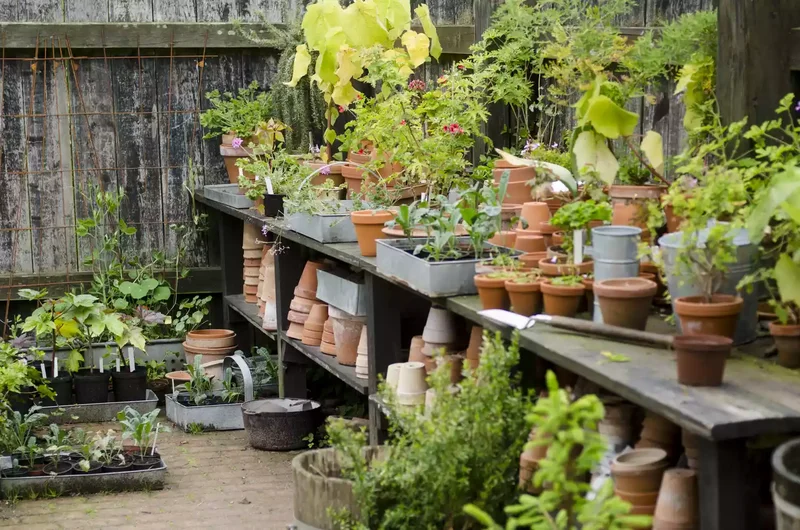 26 Vegetable Garden Ideas for Fresh Homegrown Produce 2 Create a Workspace With Storage